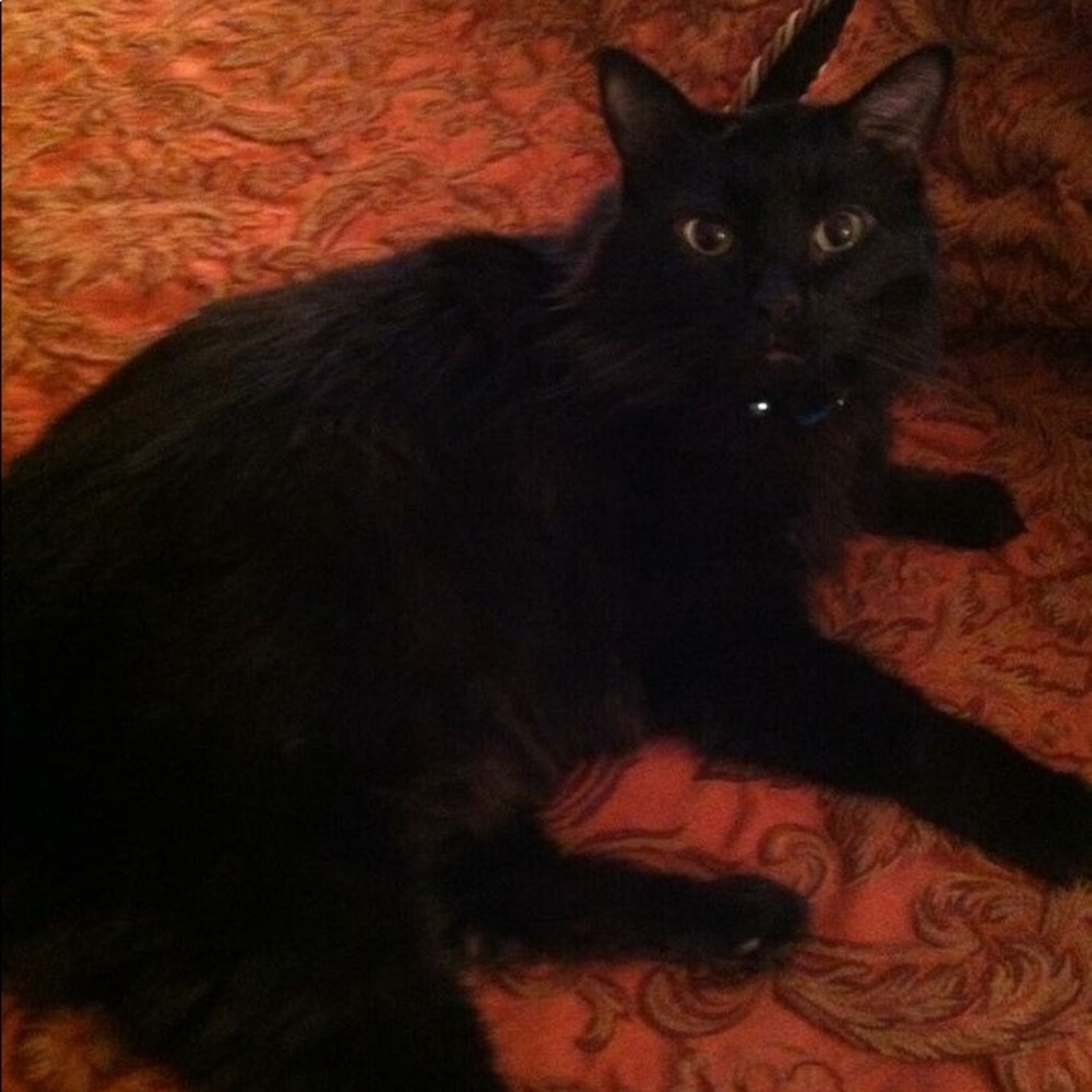 Meet your Posher, Edie